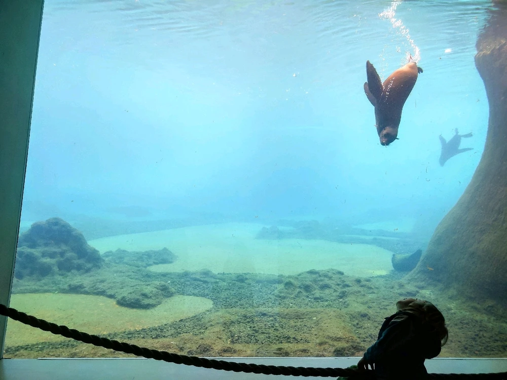 Zdjęcie dodane przez Marta