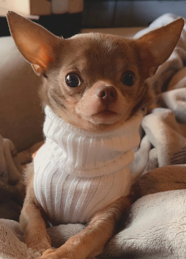 Image uploaded by chay