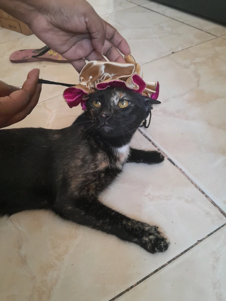 Imagem enviada por Brenda