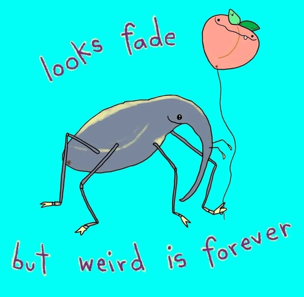 Zdjęcie dodane przez Agata J.