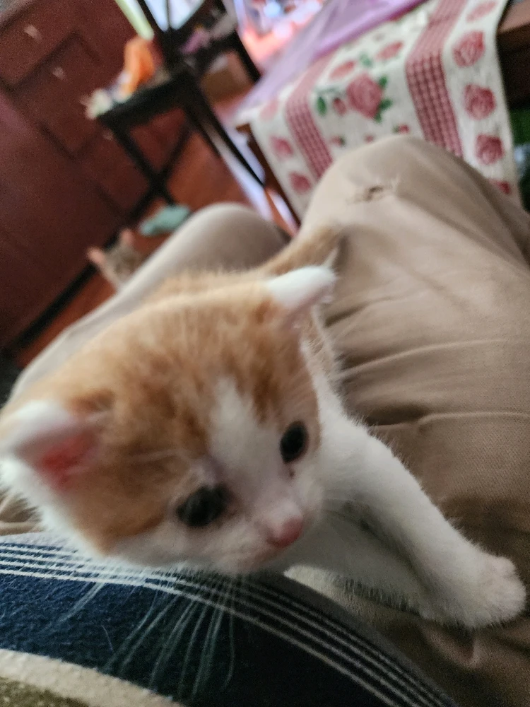 Bild hochgeladen von Alex