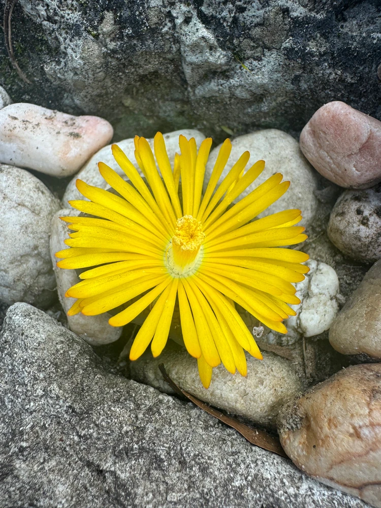 Image uploaded by Nicole