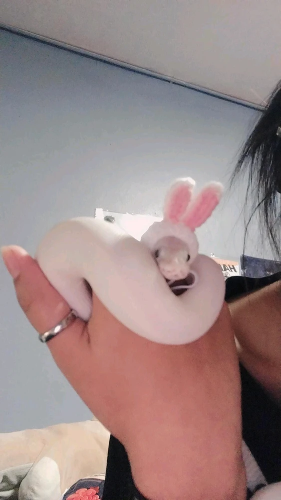 รูปที่อัพโหลดโดย Zacky (⁠｡⁠ŏ⁠﹏⁠ŏ⁠)