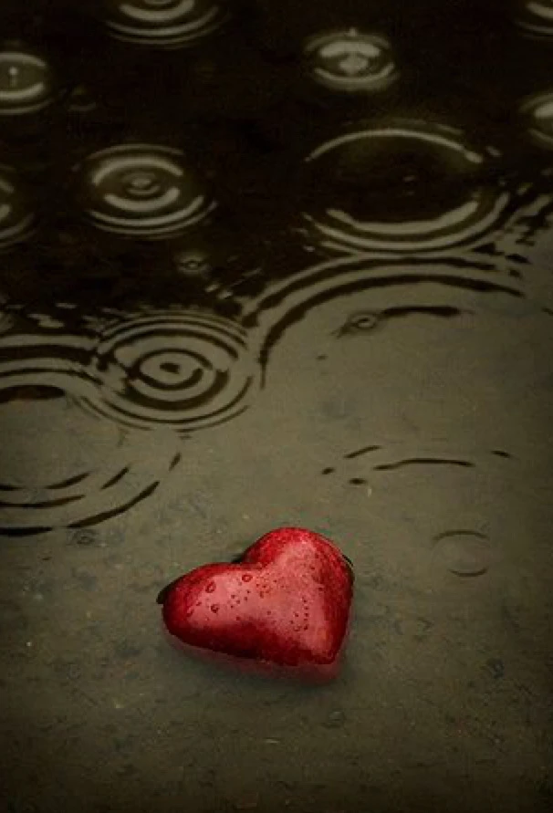 Sliko je naložil Flo