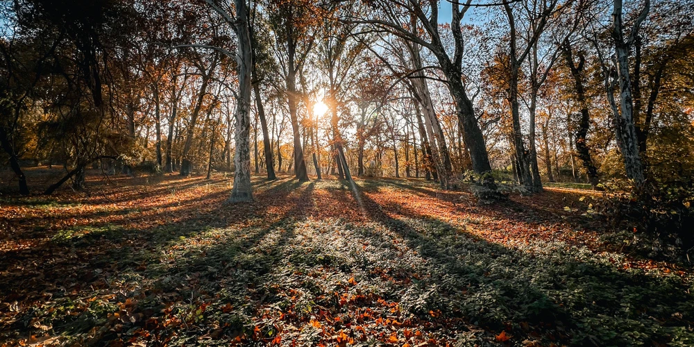 Edo által feltöltött kép