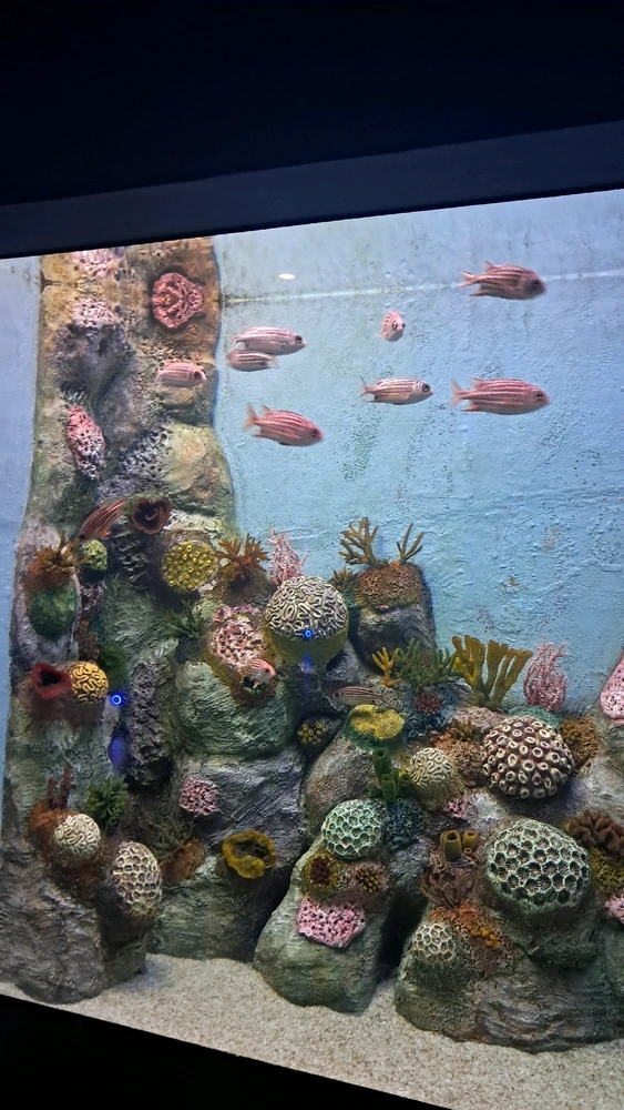 Image uploaded by Jatin
