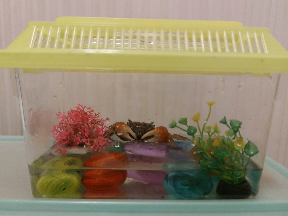 Rebecca上傳的圖片