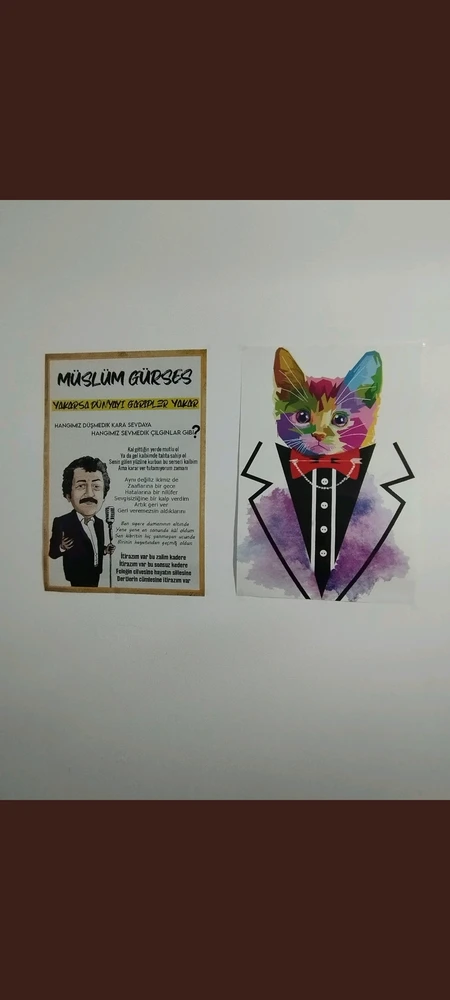 Emre tarafından yüklenen görsel