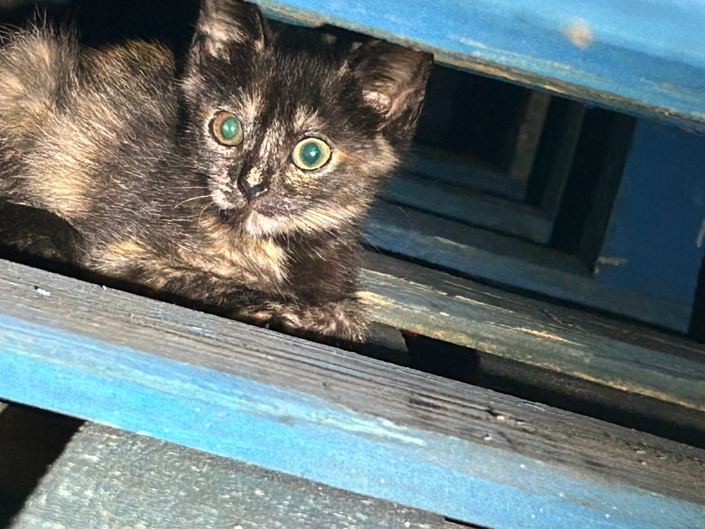 Image uploaded by JustCallMeWill