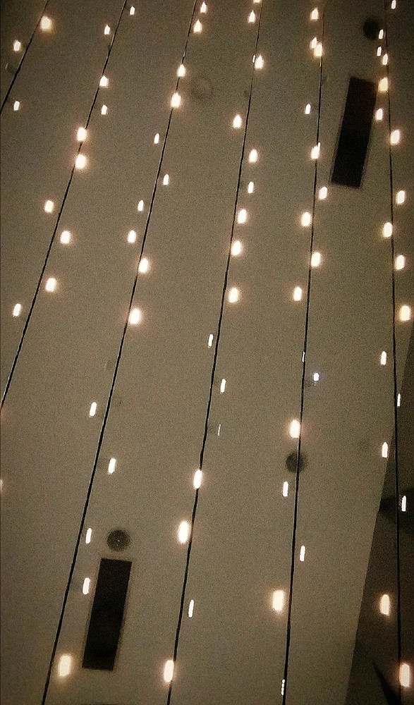 Image uploaded by Clare