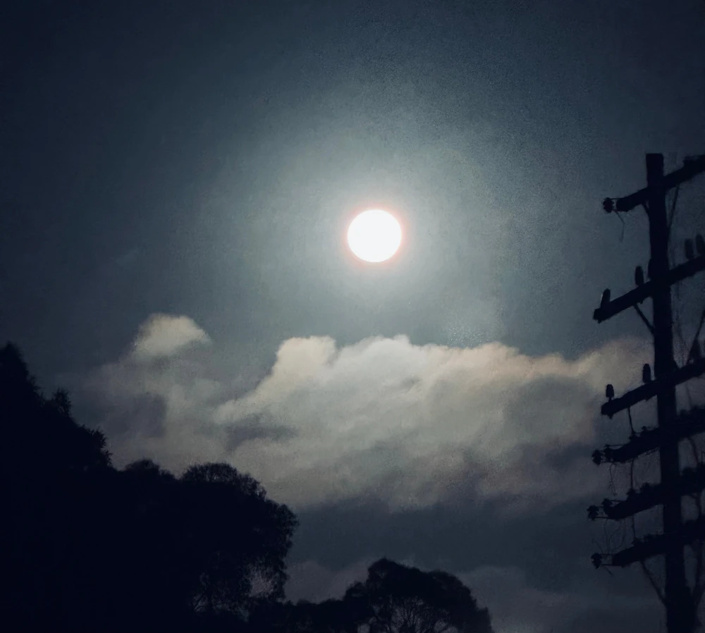 Image uploaded by Dylain