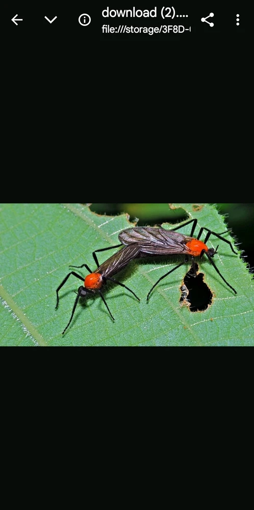 Image uploaded by Twisted