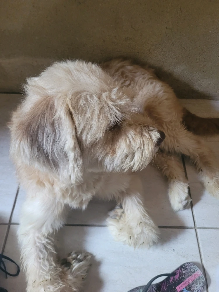 Imagem enviada por Daiany