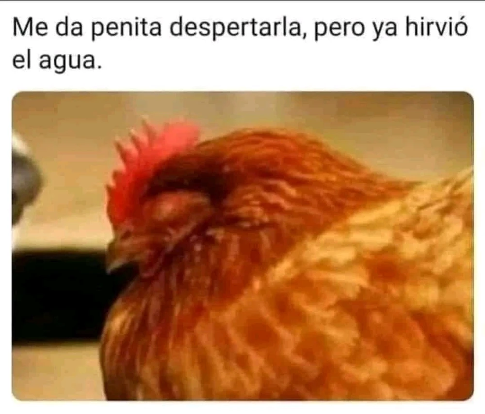 A desplumar y al agua