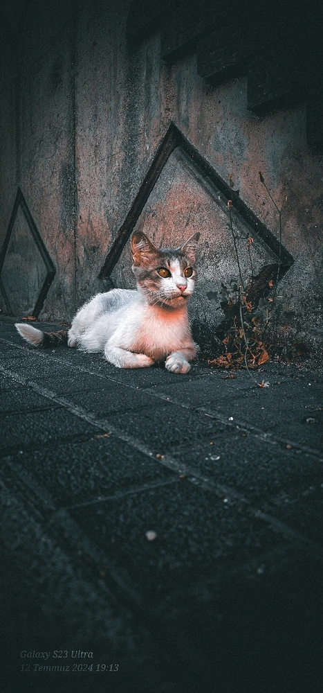 FERO tarafından yüklenen görsel