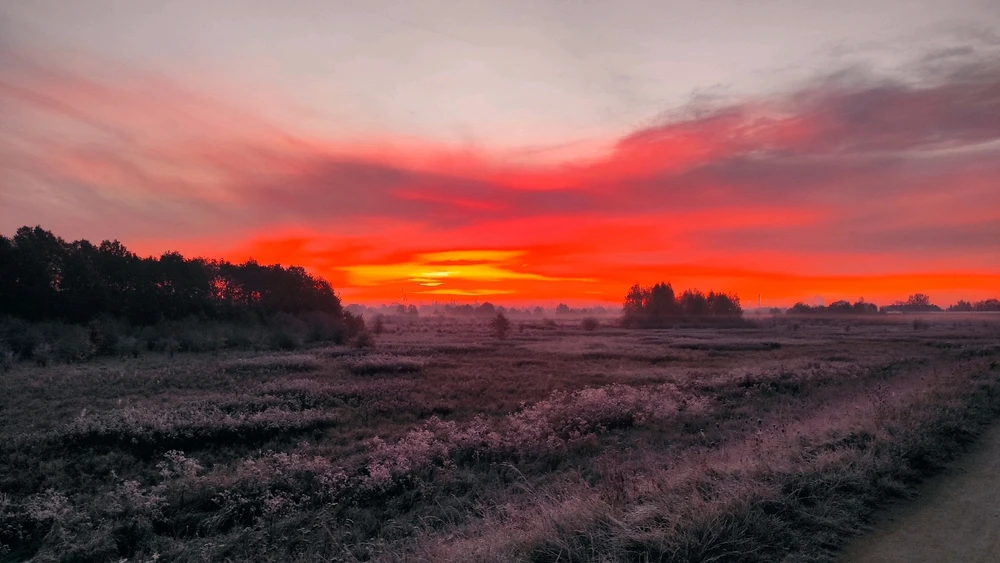 Фото загрузил Nikita