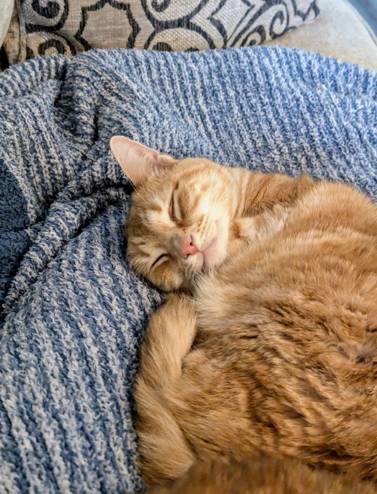 Image uploaded by Melissa