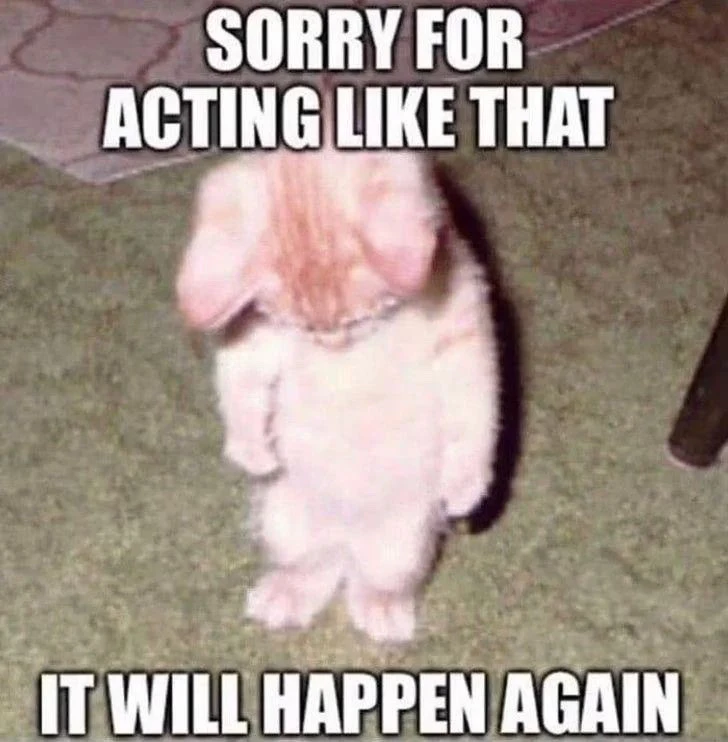 Image uploaded by Inu