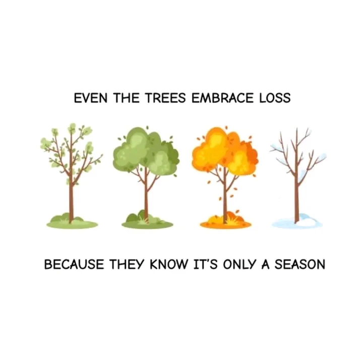 Image uploaded by Gypsy