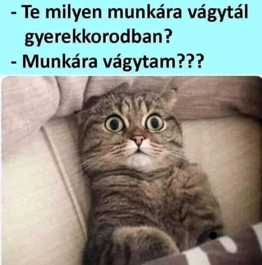 vanazúgy által feltöltött kép