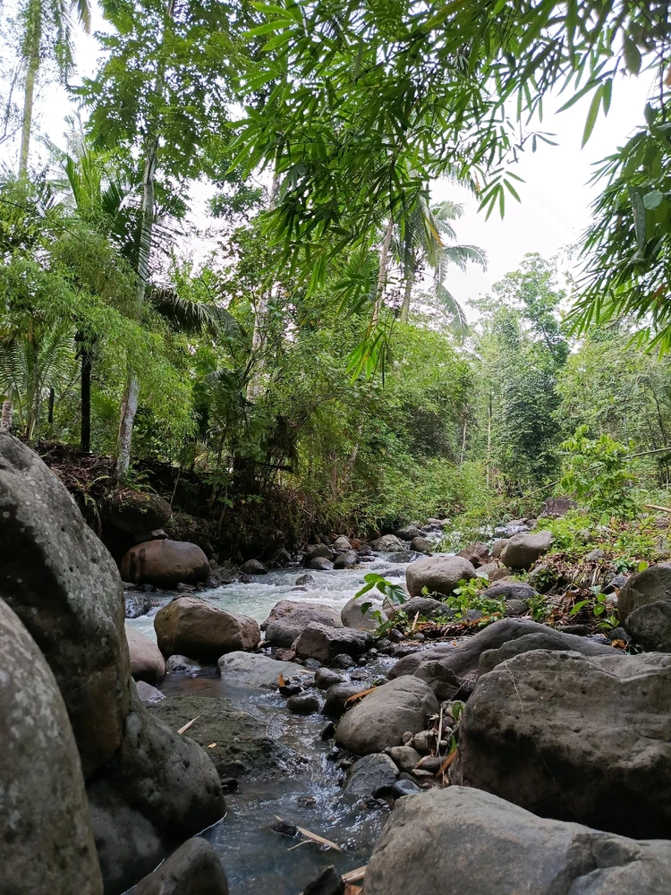 Gambar diunggah oleh Kyyy