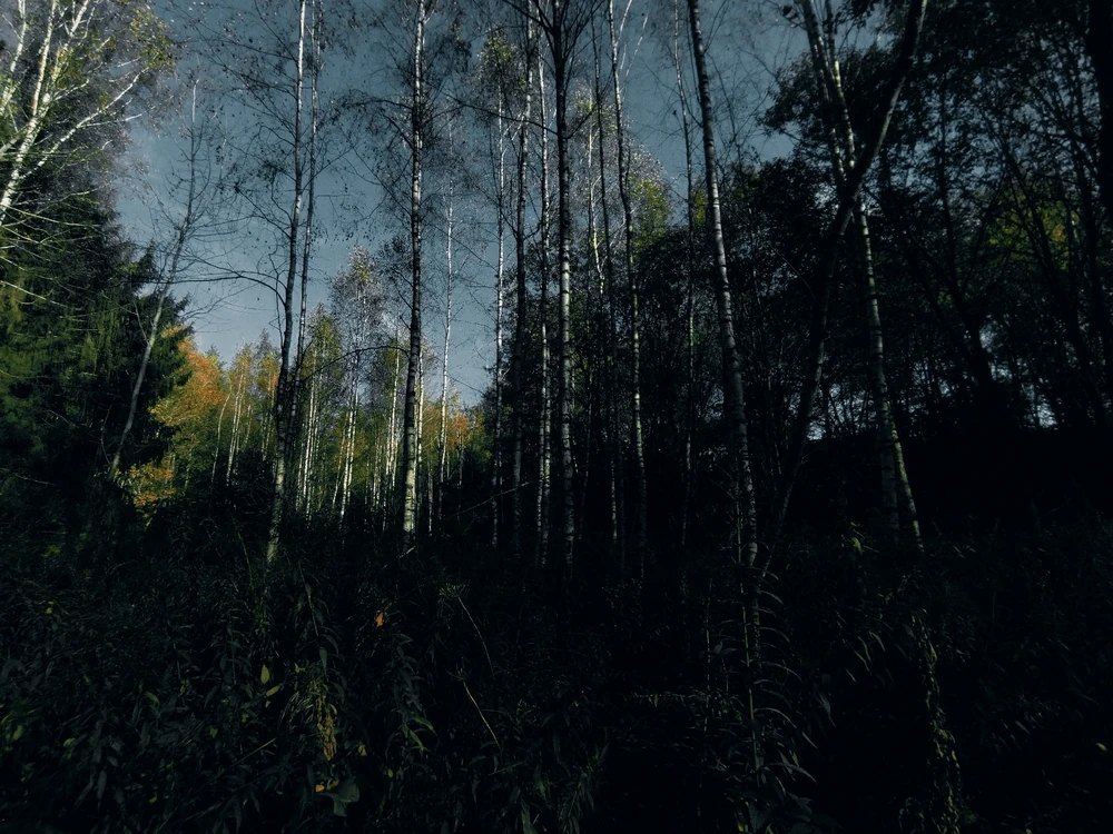 Фото загрузил Yanush