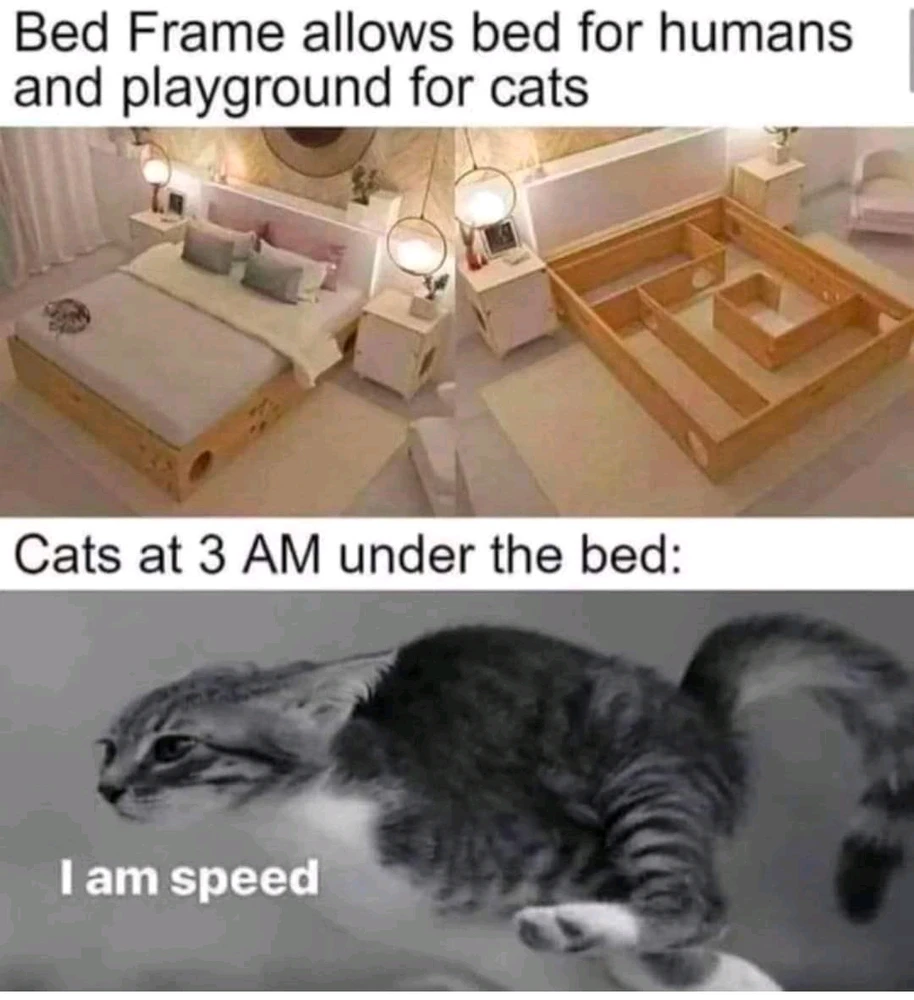 由Matthew上传的图片