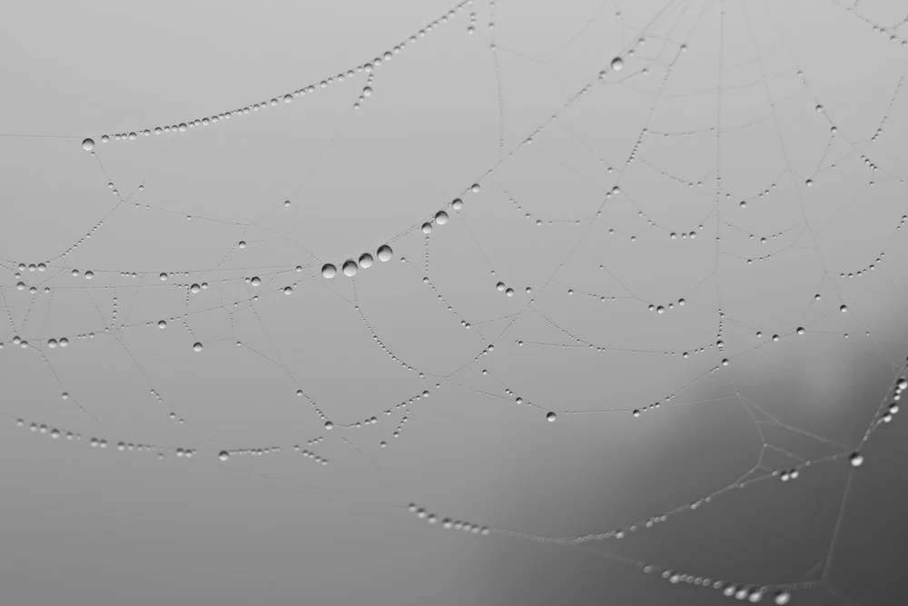 Obrázek nahrál Daniel Kovář