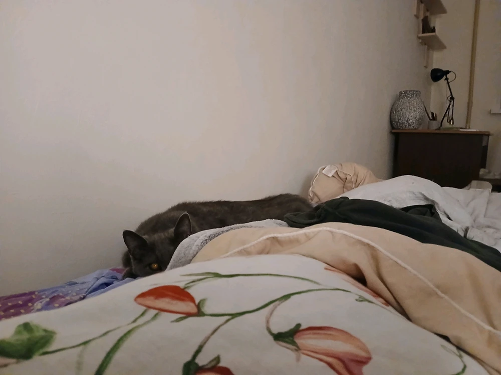 Фото загрузил Anastasia