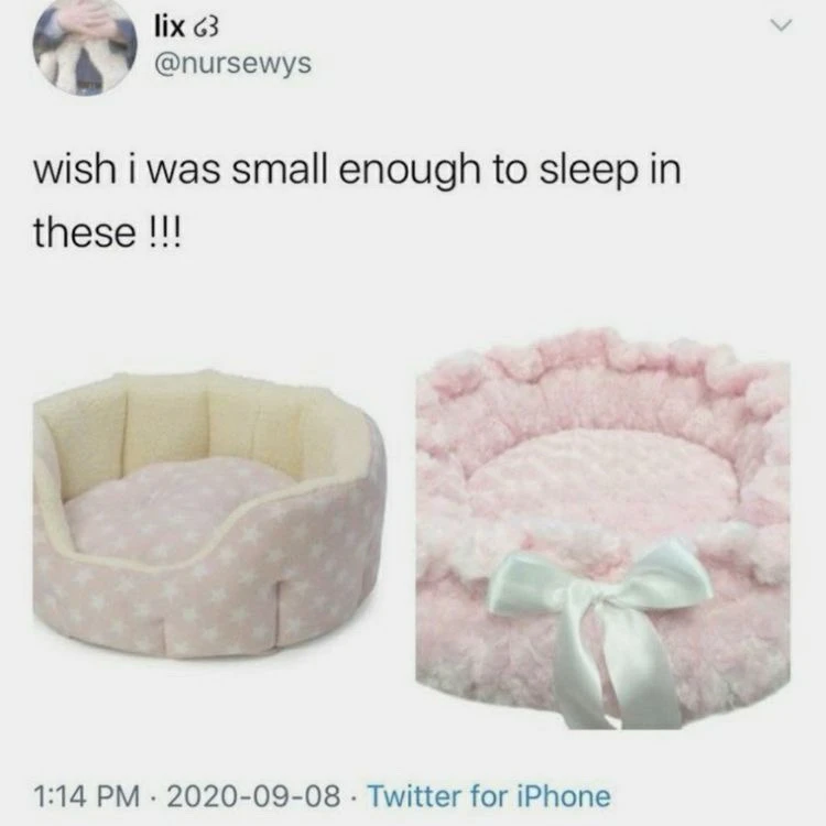 由Lily上传的图片