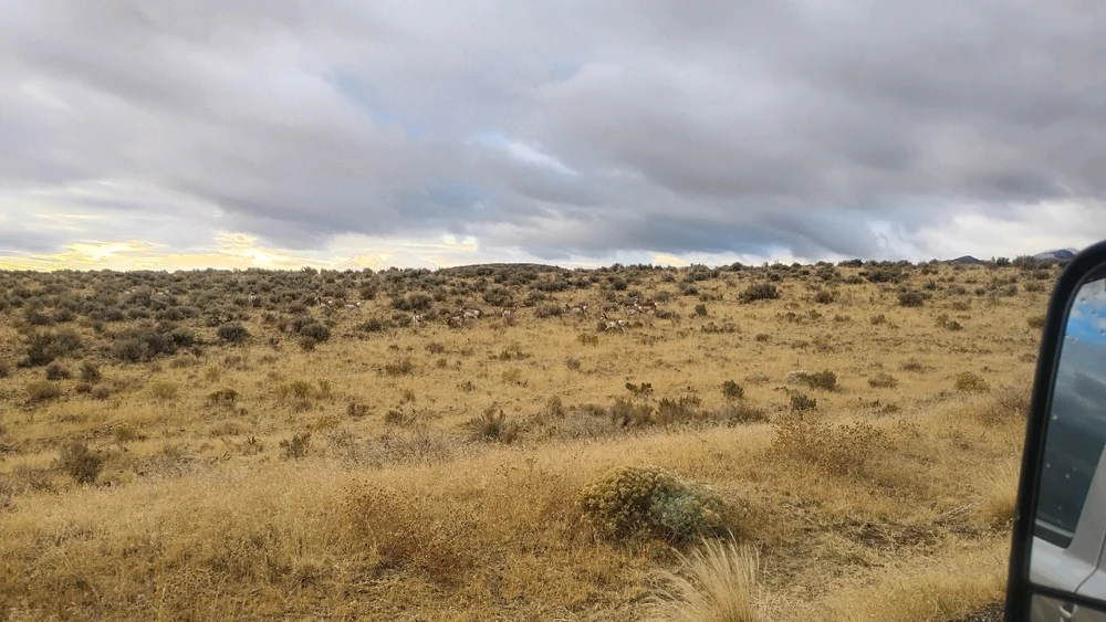 Image uploaded by Colton