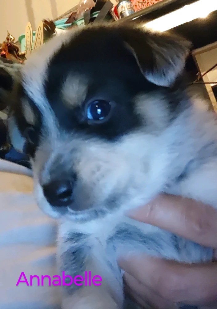 Image uploaded by Joanna