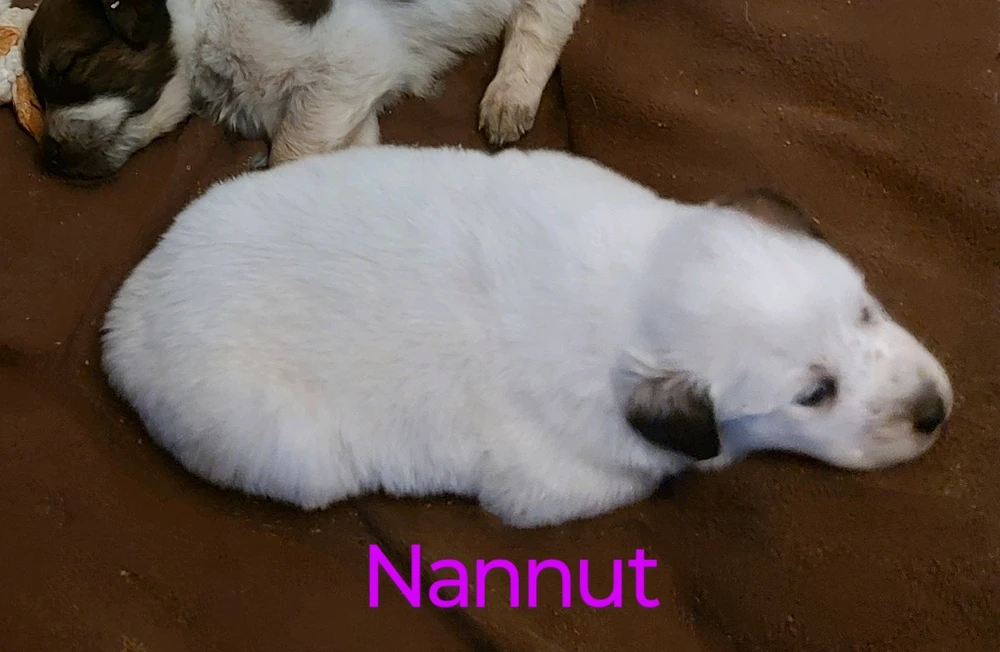 Image uploaded by Joanna