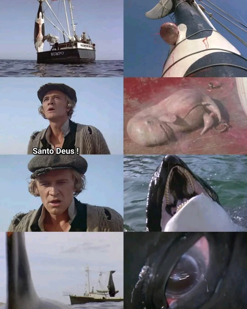 Imagem enviada por Quel🦋