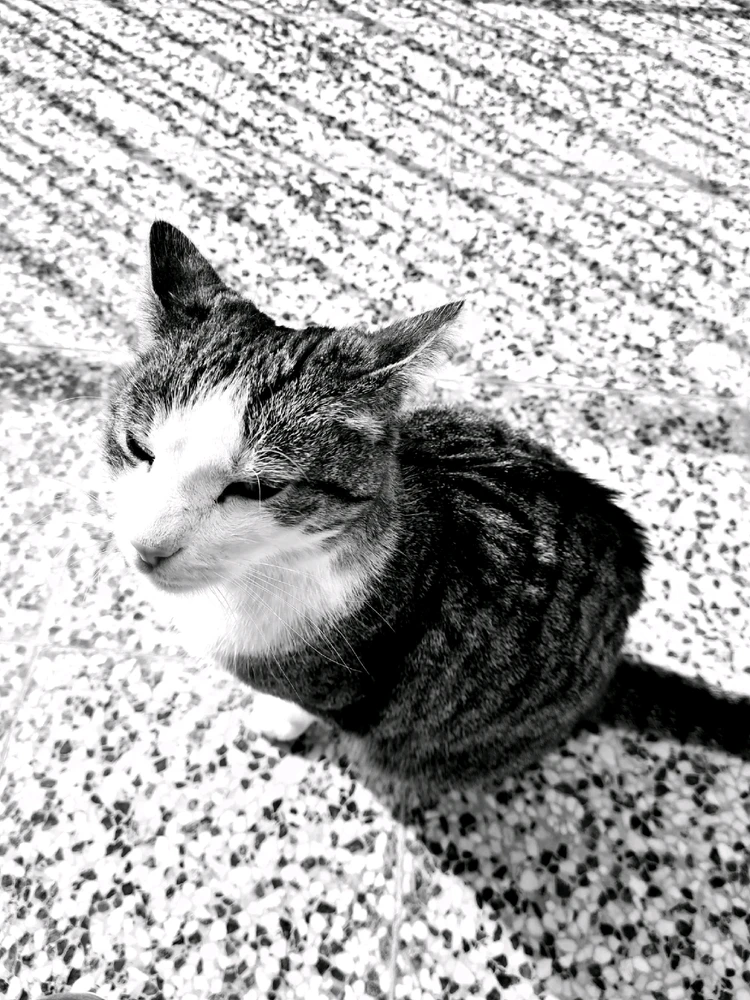 Bild hochgeladen von Doris