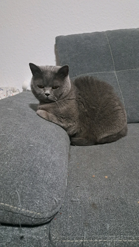 Bild hochgeladen von Lea