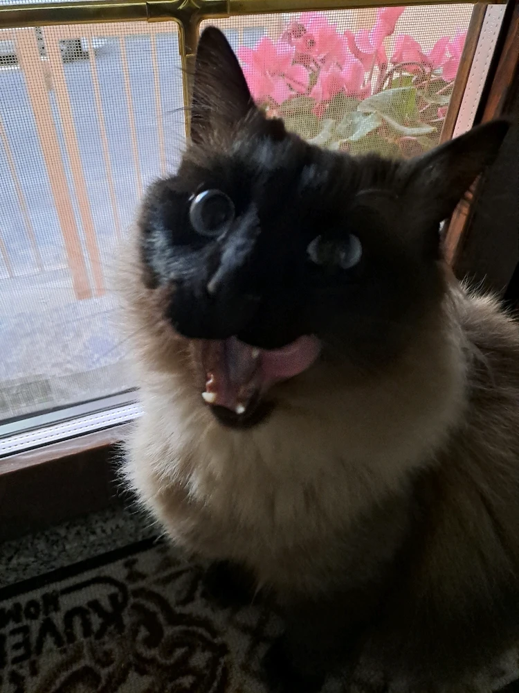 Immagine caricata da Matteo