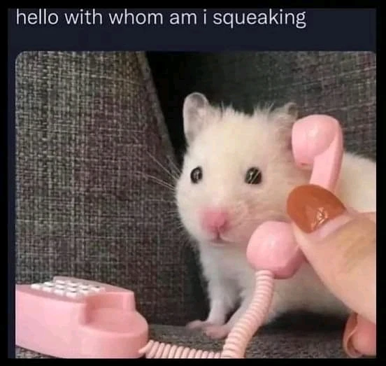 Bild hochgeladen von Marie