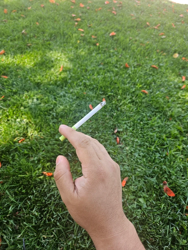 Imagen subida por Patricio