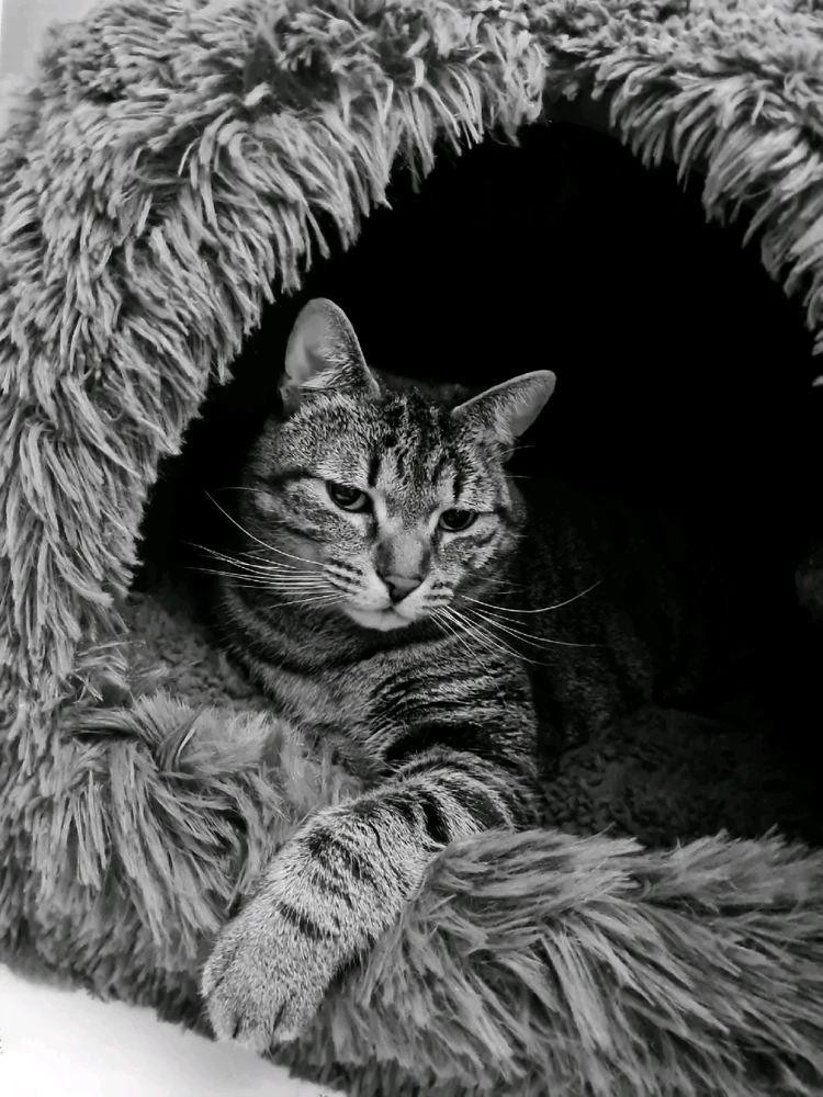 Bild hochgeladen von Doris