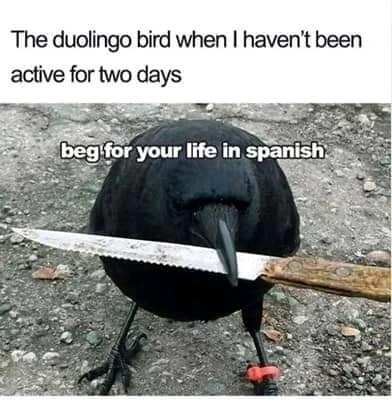 What languages are you trying to learn?