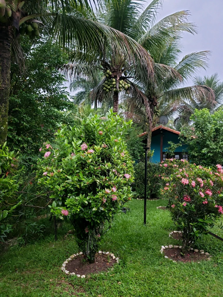 Image uploaded by R.K.