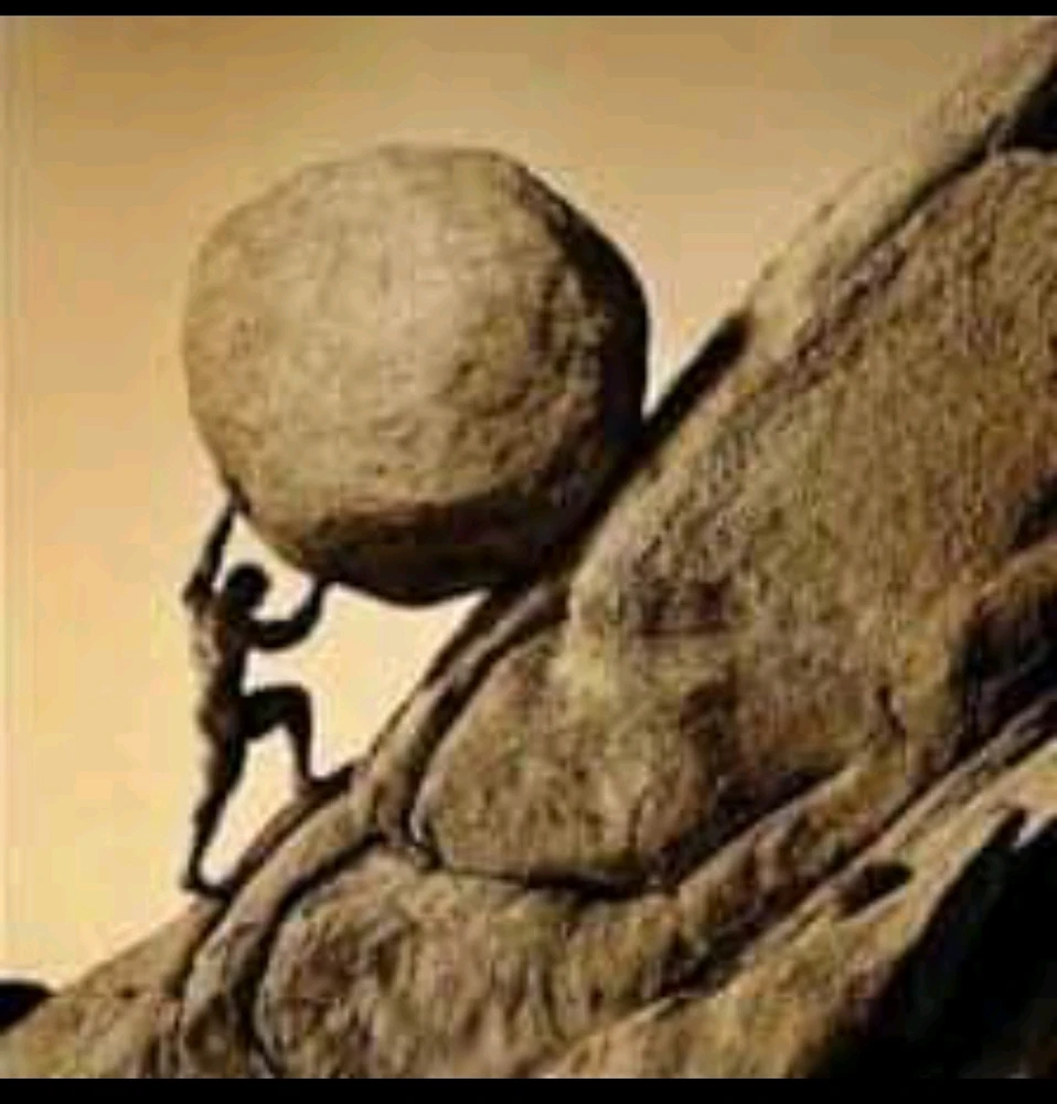 Image ajoutée par Toni