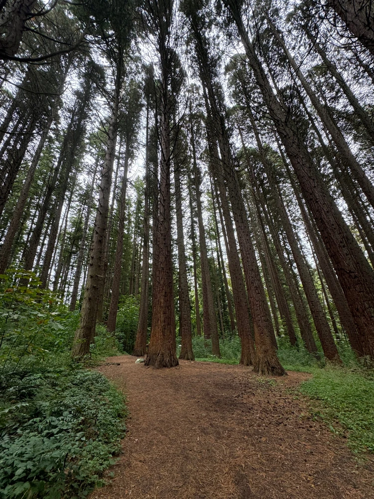 Image uploaded by Fredi