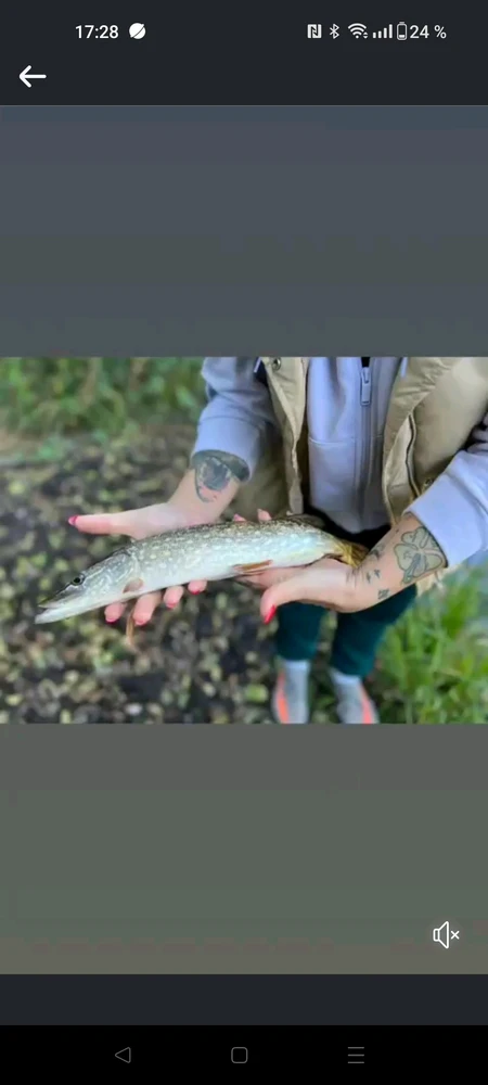 Obrázek nahrál Megi