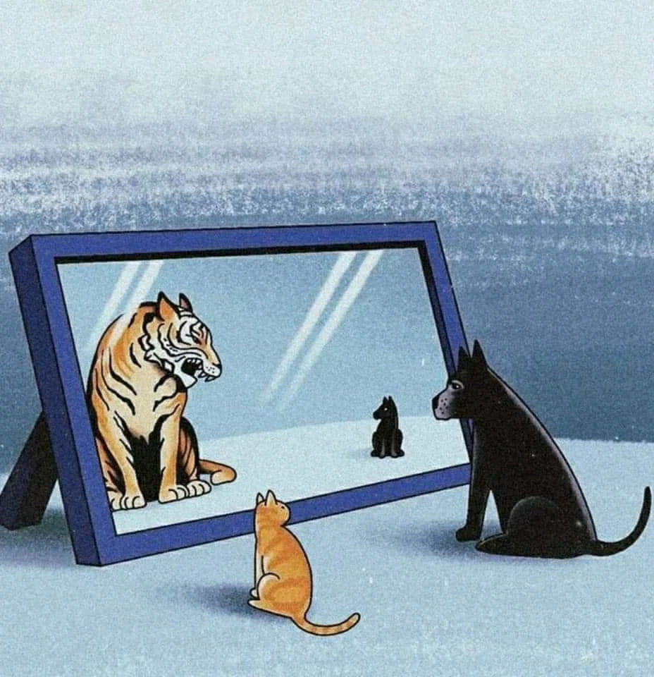 Imagen subida por Pedro