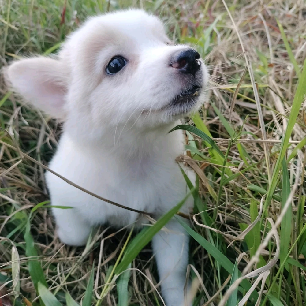 She also had her own photoshoot! 