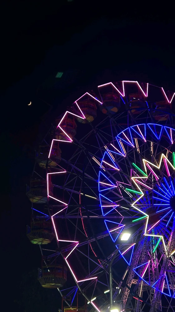 Reclaiming my inner Child, A day at the Fair🎡🎢