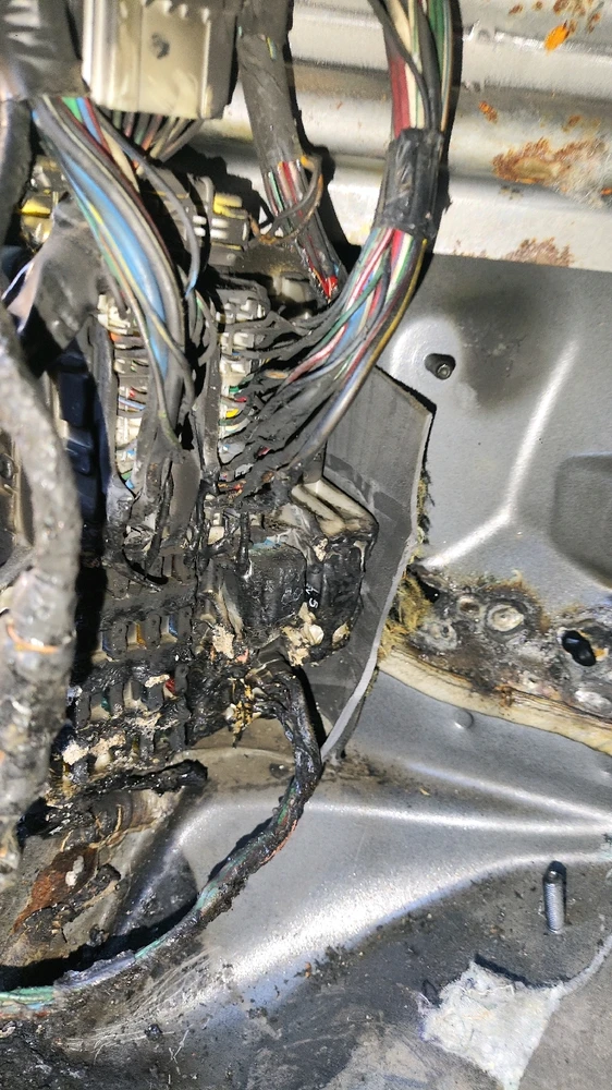 Obrázek nahrál David