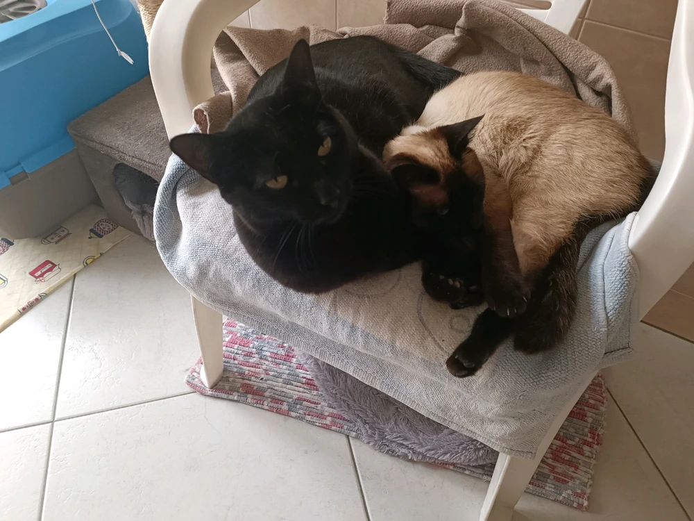 Imagem enviada por Bruno Miguel